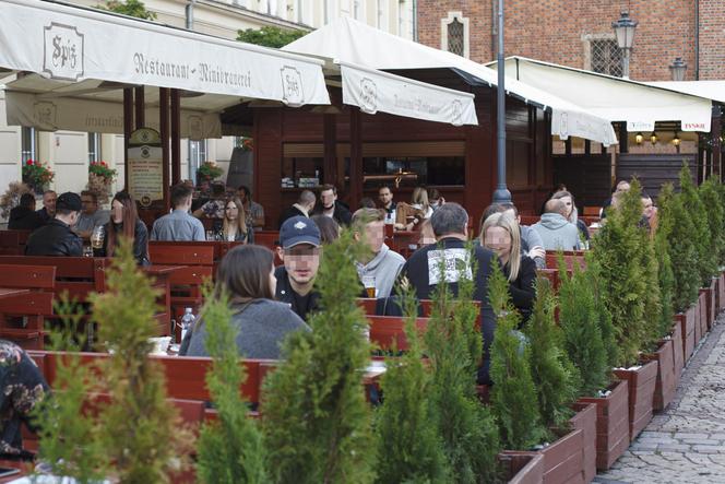 Wrocławski rynek znowu z restauracjami