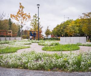 Nowa zielona przestrzeń na Żoliborzu już gotowa. Teren jest bardzo urozmaicony