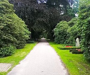 Ohlsdorfer Friedhof w Hamburgu
