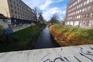 Powiedział o dwa słowa za dużo, po chwili już nie żył 