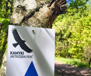 Kamyki