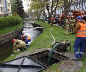 Powódź w Gdańsku. Strażacy mieli ręce pełne pracy