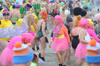 Tysiące morsów wykąpało się w Bałtyku