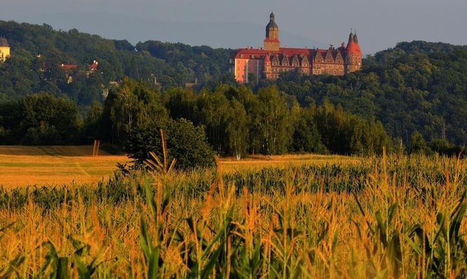 Ten zamek jest najpiękniejszy na Dolnym Śląsku. AI odpowiedziało bez wahania