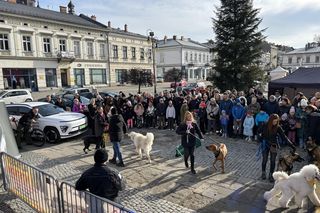 Finał WOŚP w Nowym Sączu 