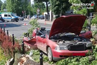 Żywiec: Drzewo runęło na samochód! Matka z córką w szpitalu. Wstrząsający widok!