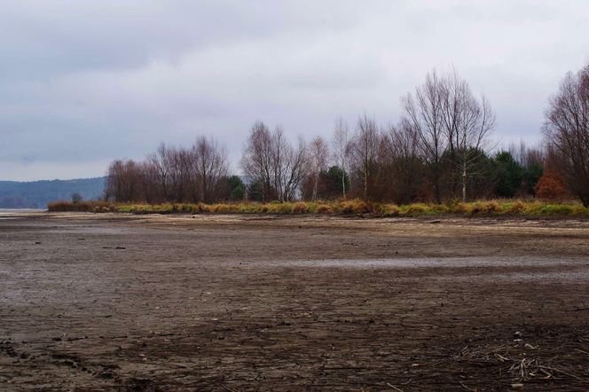 Mroczne klimaty nad zalewem brodzkim. Idealne na spacer dla fotografów