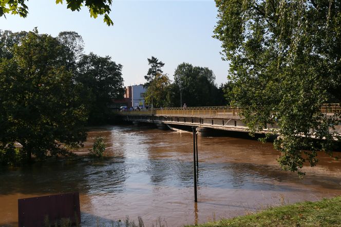 Rzeka Bóbr wdarła się na ulice Żagania