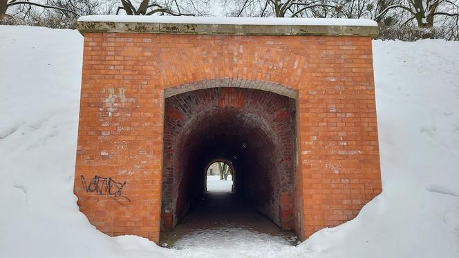 Zamojski Park pod śniegiem