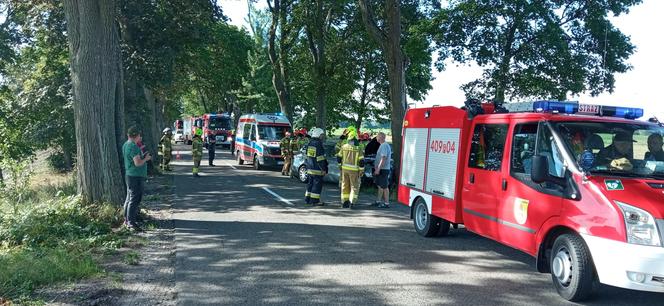 Samochód wbił się w drzewo niedaleko Strzelec Krajeńskich. Kierowca cudem przeżył!