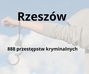 To tu na Podkarpaciu dochodzi do największej liczby przestępstw kryminalnych