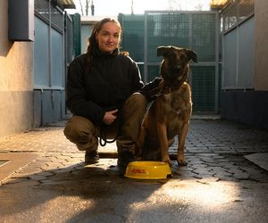 “JOSI napełnia każdą miskę” – producent karm i przysmaków dla zwierząt rozpoczął akcję skierowaną do organizacji działających na rzecz czworonogów!