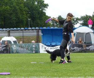 dog frisbee w Iławie