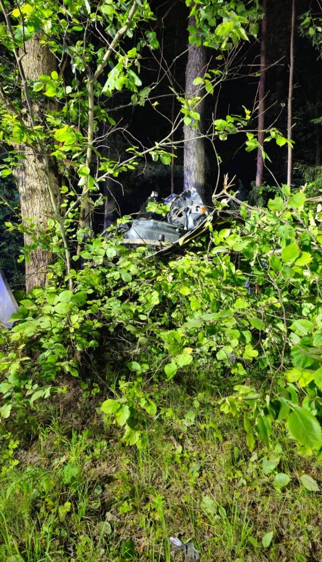 Kierowca seata nie żyje. Auto roztrzaskało się na drzewie. Tragiczny wypadek na DK 65