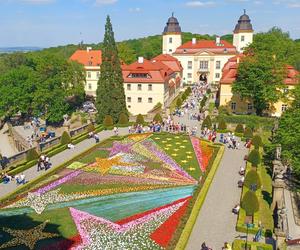 Zamek Książ. Festiwal kwiatów 2024