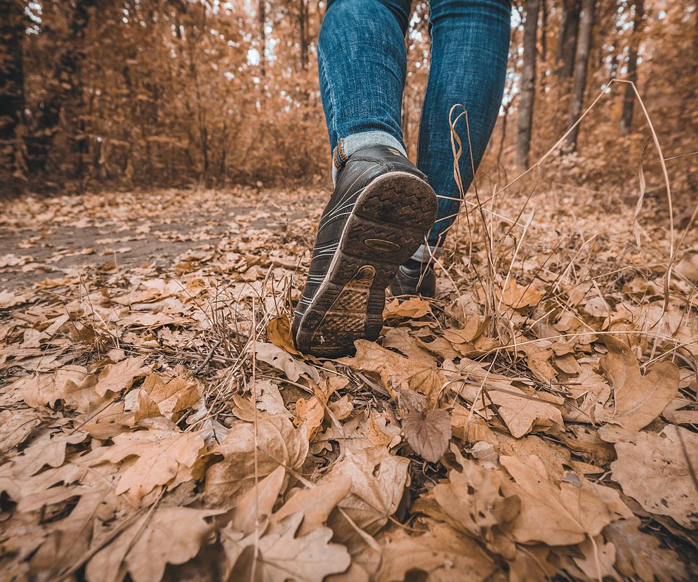 Osoba w jeansach i sportowych butach spacerująca po lesie jesienną porą, wśród opadłych, brązowych liści. Zdjęcie ilustruje trik z lasem obniżający stres, o czym można przeczytać na portalu Poradnik Zdrowie.