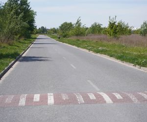 Na prostym odcinku drogi biegnącym przez łąki ustawiono aż osiem progów zwalniających 