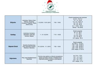 Gdzie kupić choinkę na Boże Narodzenie? [CENY, ADRESY]