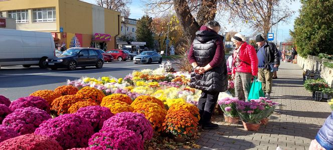 Przygotowania do Wszystkich Świętych Zamość