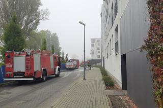 Dramatyczna sytuacja w Warszawie. Ewakuowano 150 mieszkańców, spłonęło 20 aut