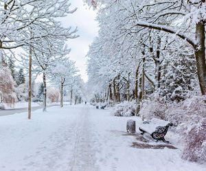 Kiedy spadnie śnieg w 2025 roku? Jest data! Po ciepłym tygodniu przyjdą mrozy!?