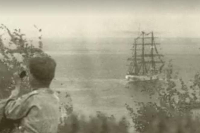 Animacja o Gdyni robi furorę w sieci