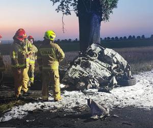 Tragedia na trasie Bydgoszcz-Unisław. Nie żyje jedna osoba. Auto spłonęło doszczętnie 