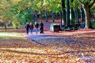 Cmentarz Centralny w Szczecinie przed 1 listopada