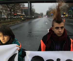 Ostatnie Pokolenie zablokowało Wisłostradę. Furia kierowców. Matka chorego dziecka błagała o przejazd