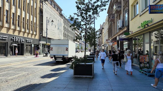 Katowice jak patelnia. Obowiązuje ruch cieniostronny. Nawet gołębie chowają się w cieniu