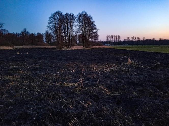 Pracowity wieczór strażaków. Płonęły i dom i trawy!