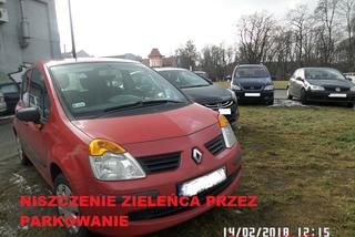 Mistrzowie parkowania z Gliwic