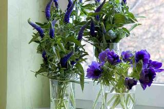 Kwiaty z ogrodu do wazonu: co zrobić, żeby kwiaty długo stały w wazonie