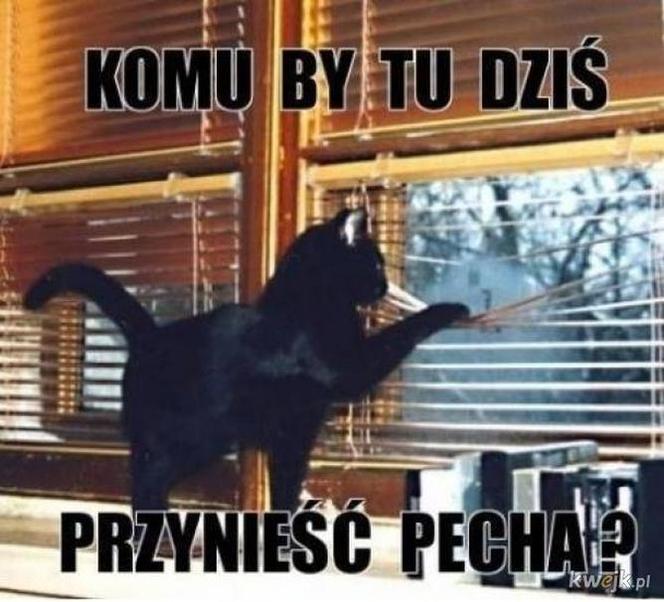 Memy na piątek 13-go