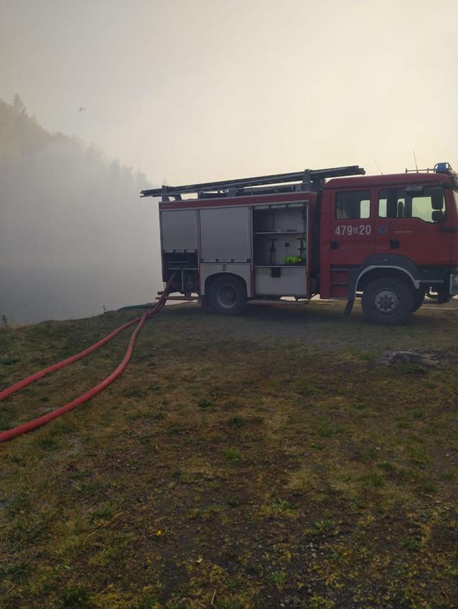 Pożar Lubańskiego Wielkiego Lasu 