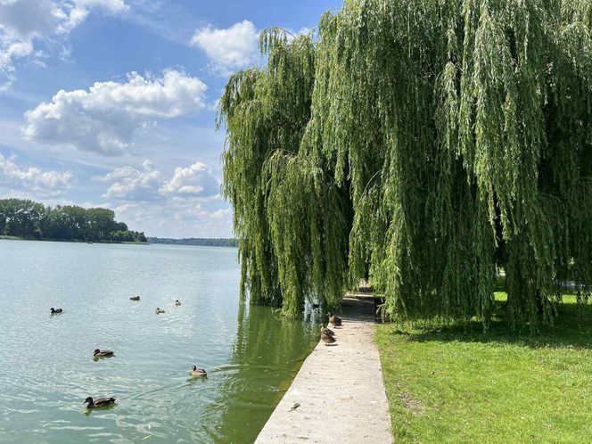 Jezioro Nowogardzkie