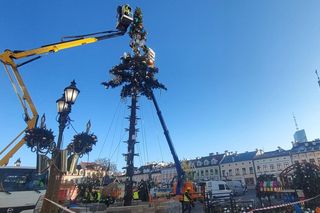 Montaż choinki w Rzeszowie [ZDJĘCIA]