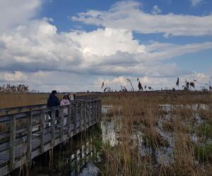 Narwiański Park Narodowy