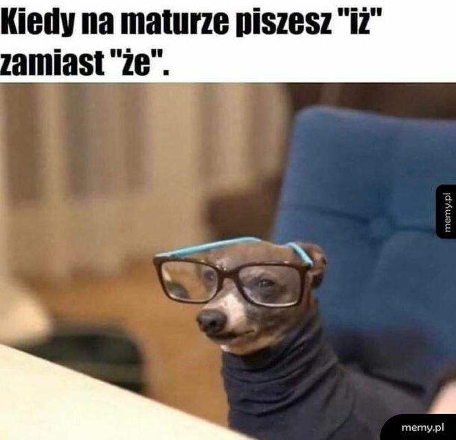 Memy o maturze