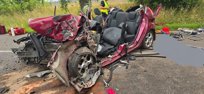 Makabryczny wypadek pod Szczecinem. Rozpędzone auto uderzyło w drzewo. Jedna osoba nie żyje, dwie są ranne