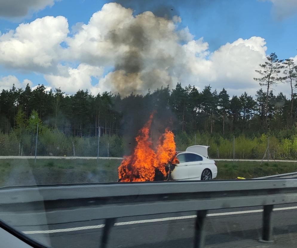 Pożar auta pod Goleniowem 