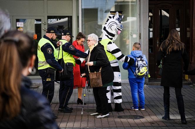 Zebra Basia rozdawała odblaski na chorzowskiej Wolce 