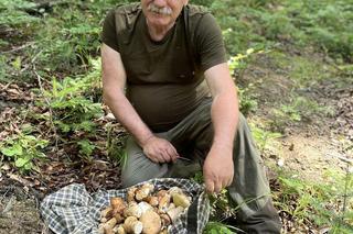 Bieszczady zasypane grzybami