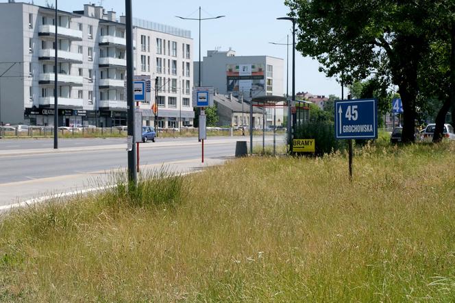 Kwestia nadal wzbudza kontrowersje, jedni narzekają na hałas, inni na zaburzanie naturalnego ładu, ale są i tacy, który nie wyobrażają sobie długich zarośli.   