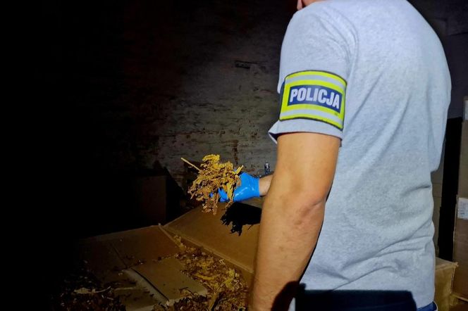 Kalisz. Nielegalna fabryka papierosów w magazynie! Dwie osoby z zarzutami 