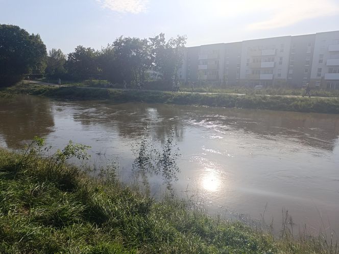 Stan rzeki Ślęza cały czas się podnosi. Przekroczono już stan alarmowy. Jak wygląda sytuacja?