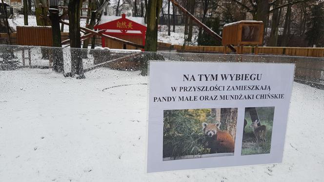 ZOO Toruń zaprasza!