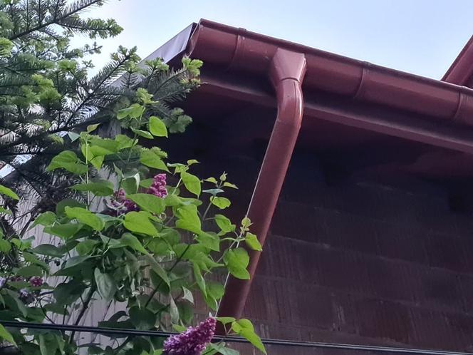 Oszukani metodą na rynnę