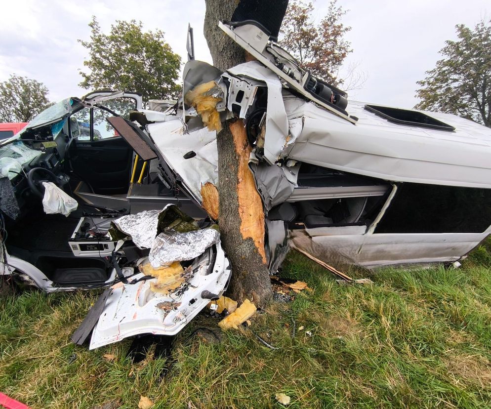 Bus uderzył w drzewo. Dwie osoby nie żyją! 