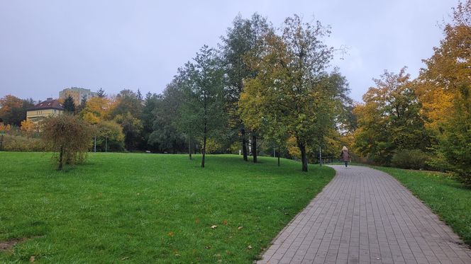 To najpiękniejszy park miejski w Olsztynie według AI. Zajmuje niemal 13 hektarów!
